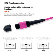 MPO Fiberoptisk Patchkabel OM4 8-Kärnig Fiberoptisk Kabel Hona Till Hona MPO-MPO Multiläges Optisk Fiberkabel 5M