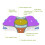 Ergonomisches Memory Foam Kissen für Büro & Reise 1