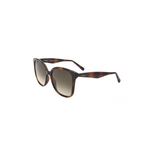 Ferragamo Sunglasses - FERRAGAMO - SF1072S - 56/19/140 - Tortoise (brown) - Plastic frame
