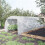 6x3x2m Polytunnel Greenhouse with Steel Frame 3