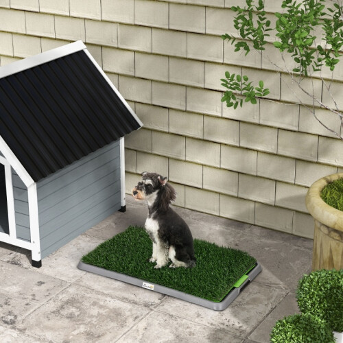 67x41cm Dog Potty Tray – Artificial Grass 1