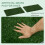 67x41cm Dog Potty Tray – Artificial Grass 5