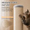 PawHut PawHut Cat Scratching Post, 76cm Tall Scratch Post for Indoor Cats 5