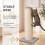 PawHut PawHut Cat Scratching Post, 76cm Tall Scratch Post for Indoor Cats 6