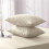 (Yellow) Plain Dyed Pillowcases – Ultra Soft Microfiber, Pack of 2 | 19"x29" | Multiple Colors 1
