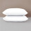 (SILVER) Luxury Pillowcase Cover 100% Poly Cotton Super Soft Bedroom Pillow Pair Pack 14