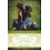 Kindred Beings by Sheri Speede Paperback Book 1