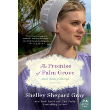 The Promise of Palm Grove Amish Brides of Pinecraft Book One by Shelle