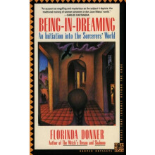 BeinginDreaming by Florinda Donner Paperback Book