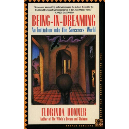 BeinginDreaming by Florinda Donner Paperback Book