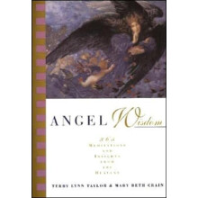 Angel Wisdom by Terry Lynn Taylor Paperback Book