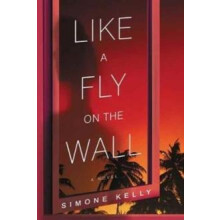 Like a Fly on the Wall by Simone Kelly Paperback Book
