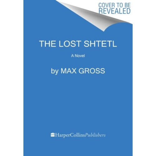 Lost Shtetl The by Max Gross Paperback Book