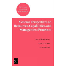 Systems Perspectives on Resources Capabilities and Management Processe