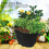 Stabiler Garten Pflanzsack mit Doppelgriff 9