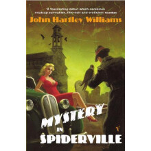 Mystery In Spiderville by John Hartley Williams Paperback Book