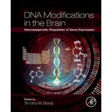 DNA Modifications in the Brain Neuroepigenetic Regulation of Gene Expr