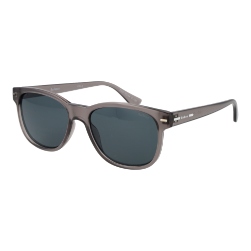 Barbour Barbour Sunglasses BAS 3025 108 55
