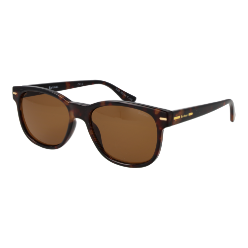Barbour Barbour Sunglasses BAS 3025 102 55