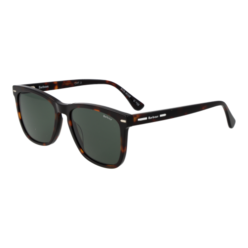 Barbour Barbour Sunglasses BAS 3028 102 55