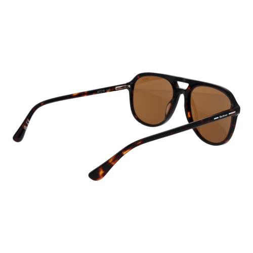 Barbour Barbour Sunglasses BAS 3027 102 57 2