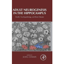Adult Neurogenesis in the Hippocampus Health Psychopathology and Brain