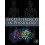 Sex Differences in Physiology Paperback Book 1