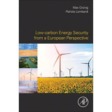Lowcarbon Energy Security from a European Perspective Paperback Book