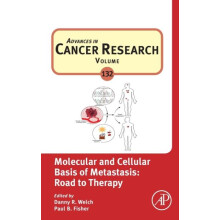 Molecular and Cellular Basis of Metastasis Road to Therapy Hardcover B