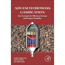 Advanced Biomass Gasification by Steffen Heidenreich Paperback Book