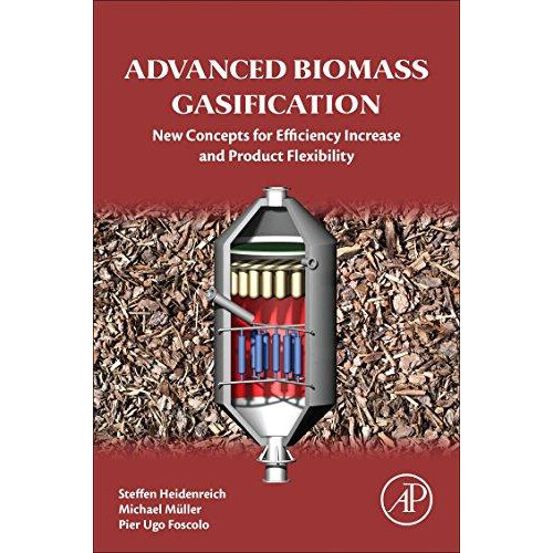 Advanced Biomass Gasification by Steffen Heidenreich Paperback Book