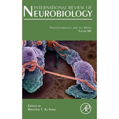 Nanotechnology and the Brain Hardcover Book