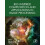 BioInspired Computation and Applications in Image Processing by XinShe 1