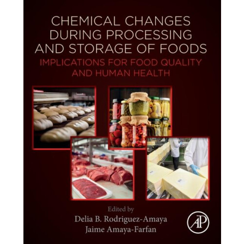 Chemical Changes During Processing and Storage of Foods Implications f