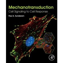 Mechanotransduction Cell Signaling to Cell Response by Paul A. Sundara
