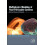 Multiphysics Modelling of FluidParticulate Systems Paperback Book 1