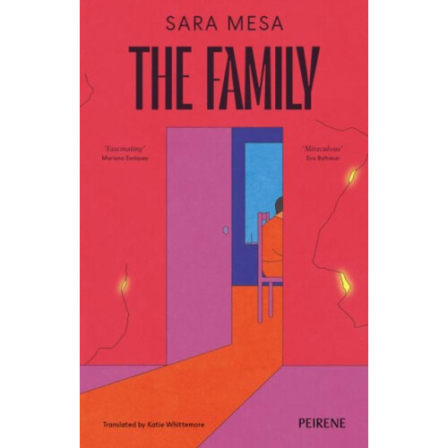 Family by Sara Mesa Paperback Book