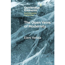 The Open Veins of Modernity by Eleni Kefala Paperback Book
