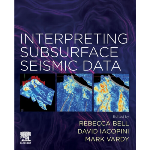 Interpreting Subsurface Seismic Data Paperback Book
