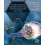 Systems Simulation and Modeling for Cloud Computing and Big Data Appli 1