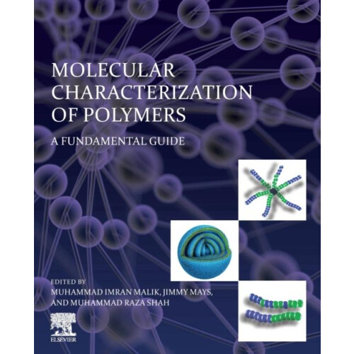 Molecular Characterization of Polymers A Fundamental Guide Paperback B