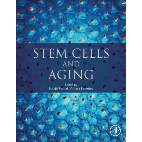 Stem Cells and Aging Paperback Book