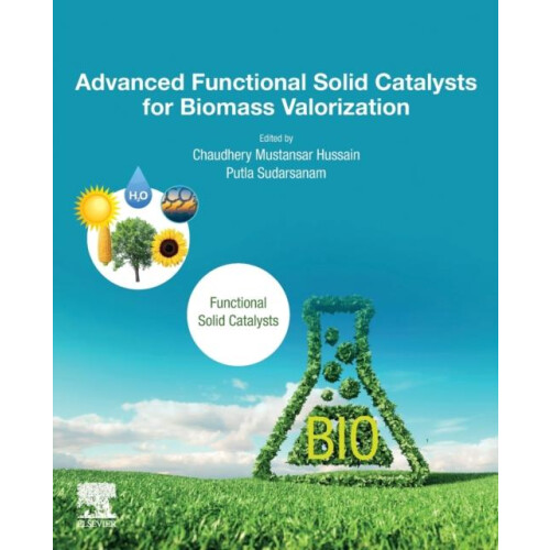 Advanced Functional Solid Catalysts for Biomass Valorization Paperback