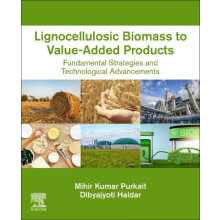 Lignocellulosic Biomass to ValueAdded Products Fundamental Strategies