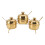 Edelstahl Gewürzregal Set 3 Gläser Gold 8