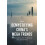 Demystifying Chinas Mega Trends by Chi Lo Hardcover Book 1