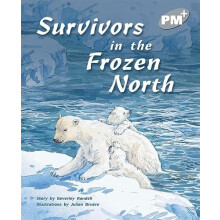 Survivors in the Frozen North by Beverley Randell Paperback Book
