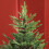 5ft Bushy Artificial Christmas Tree - Green 7
