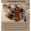 CCZ Coffee Bean Kabelgebundener HiFi In-Ear 6