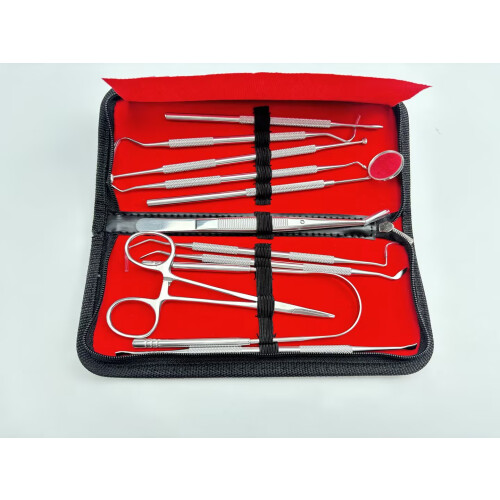 Dentalinstrumente aus Edelstahl, 11-teilig 1